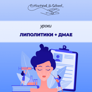 липолитики дмае курсы