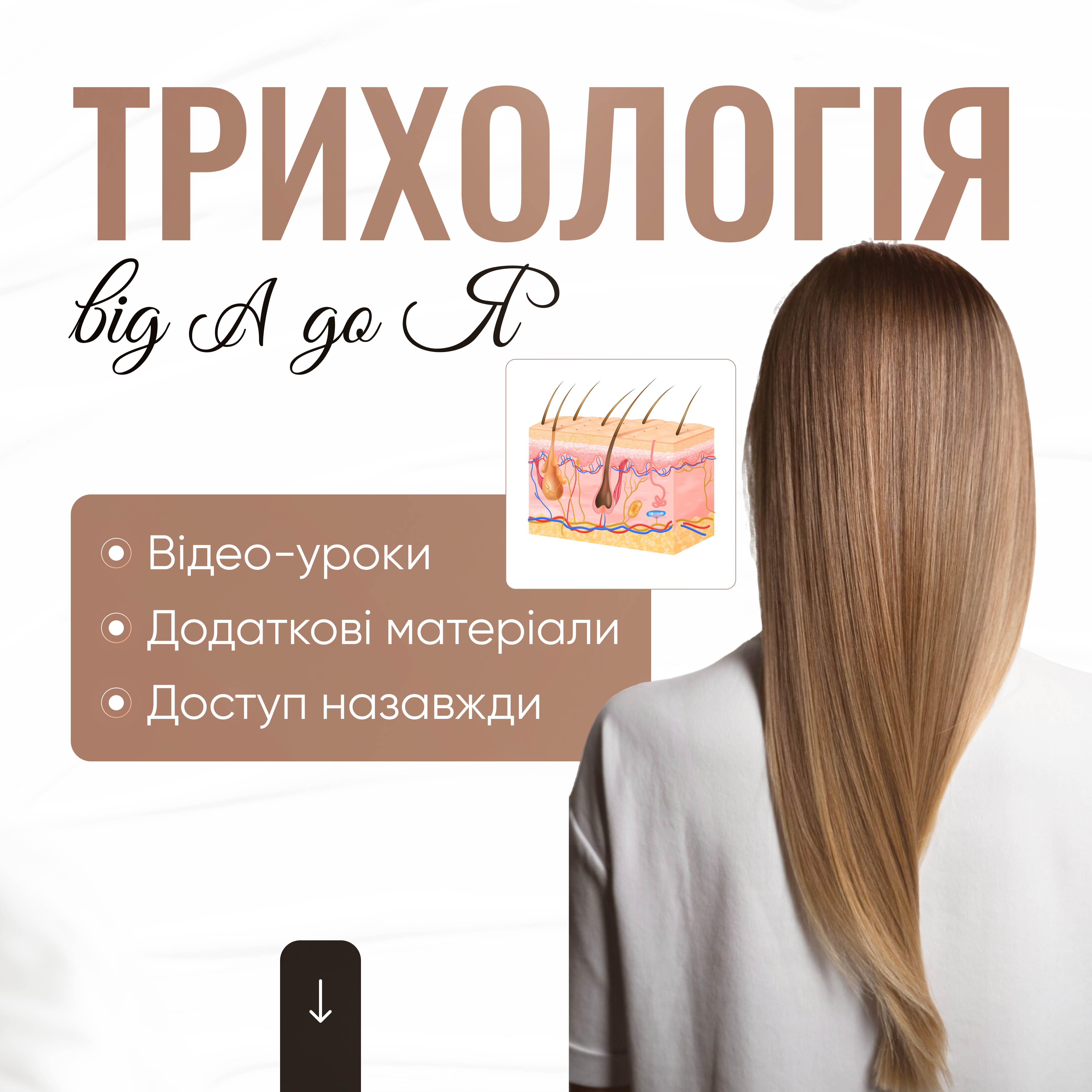 Курс трихології онлайн — Трихологія від А до Я